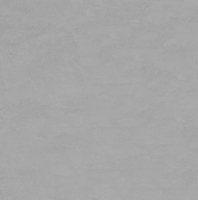 Керамогранит Грани Таганая Beton Sigiriya-clair лофт светло-серый (серая масса) 600x600 GRS09-09